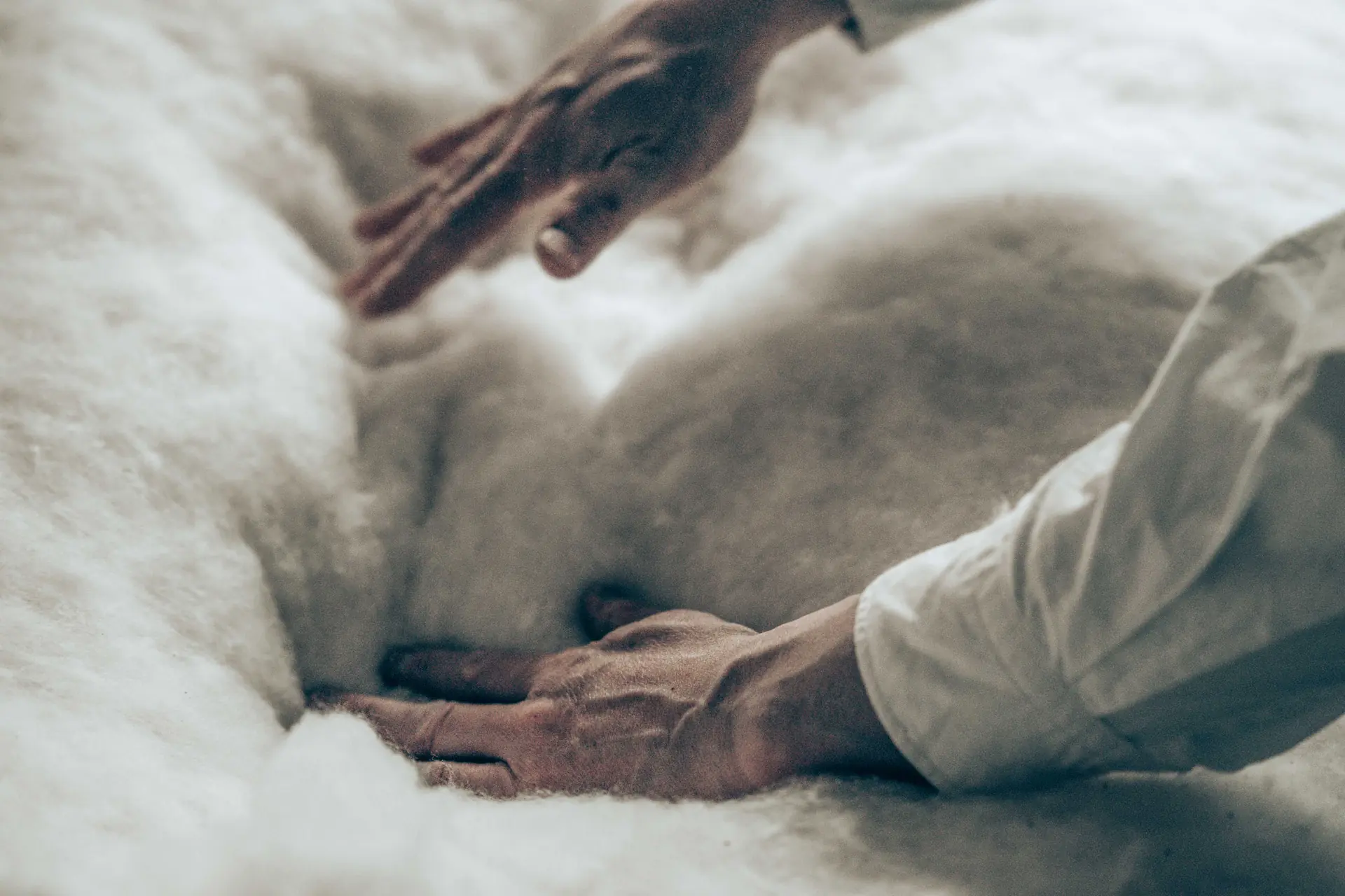 Raw unbleached cotton