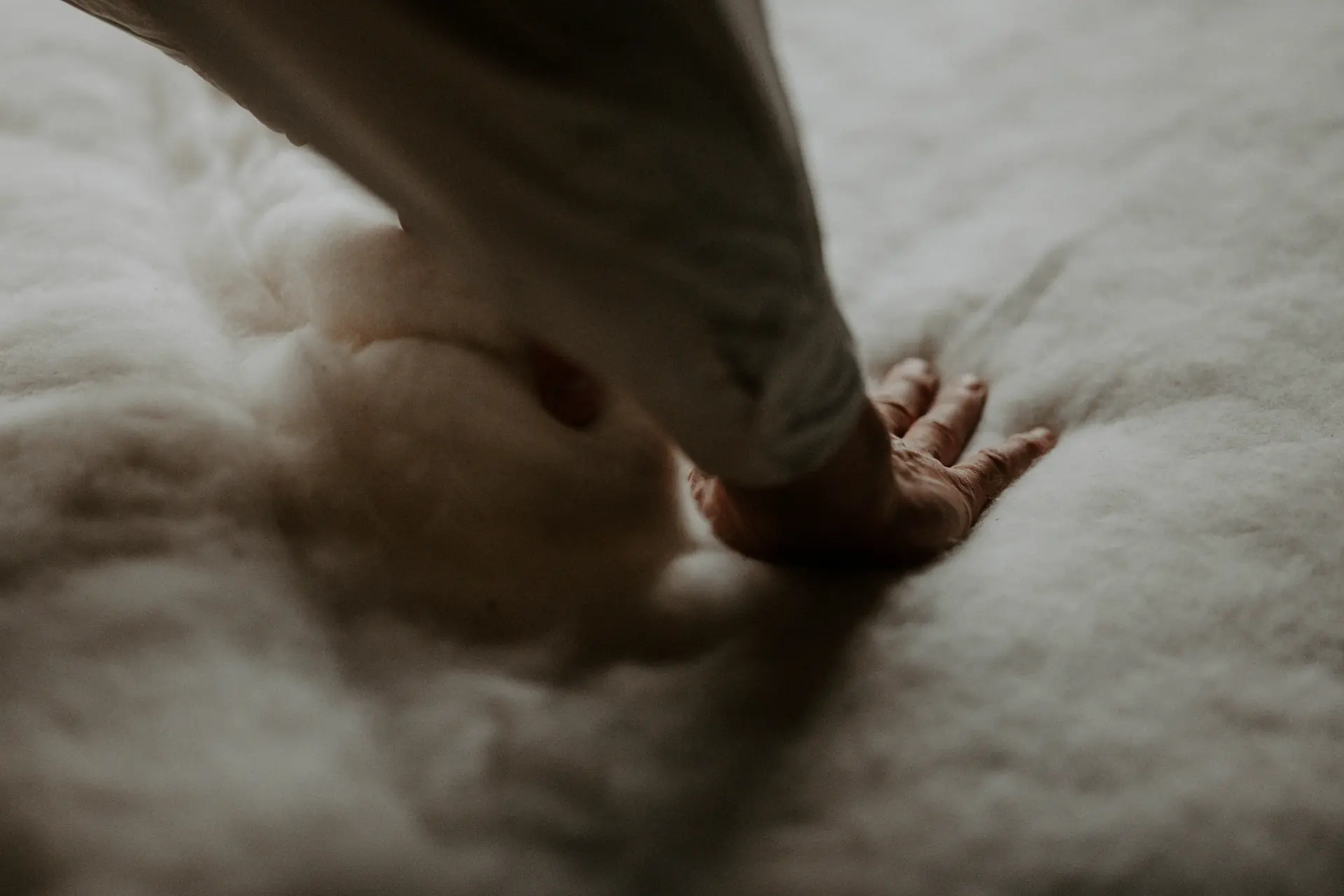 A hand pressed into a thick bed of cotton.