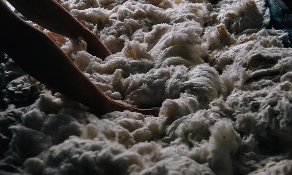 Raw cotton being hand-fluffed