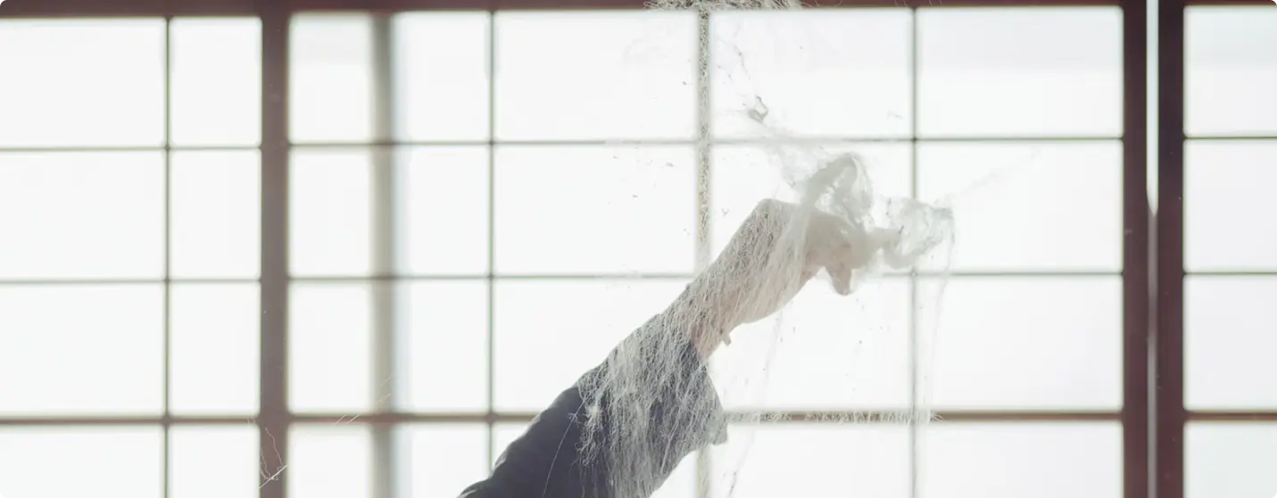Silk floss drawn out thin against the light of a paper screen.